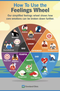 feelings wheel